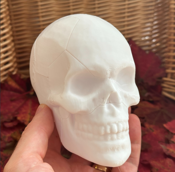 3D printed skull puzzle. 