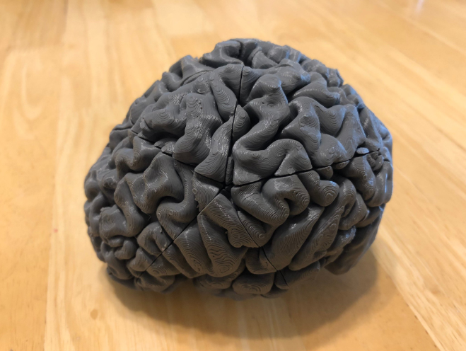 Best 3d printing idea for students featuring a brain puzzle.
