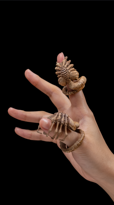 Cool and creepy 3D facehugger finger rings.